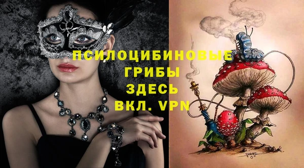 не бодяженный Медвежьегорск