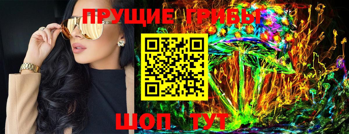 Бийск  Галлюциногенные грибы Psilocybe  Вход с VPN 