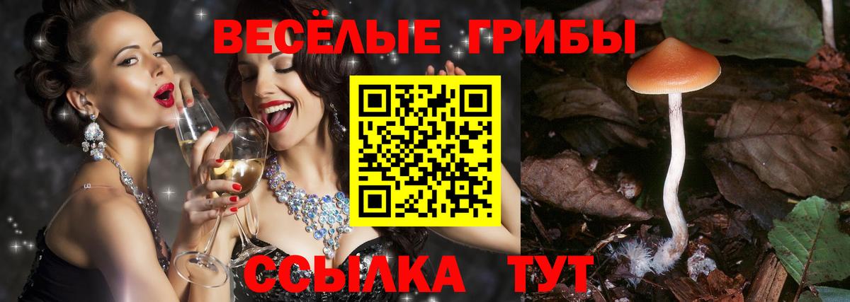 Псилоцибиновые грибы MAGIC MUSHROOMS Бийск