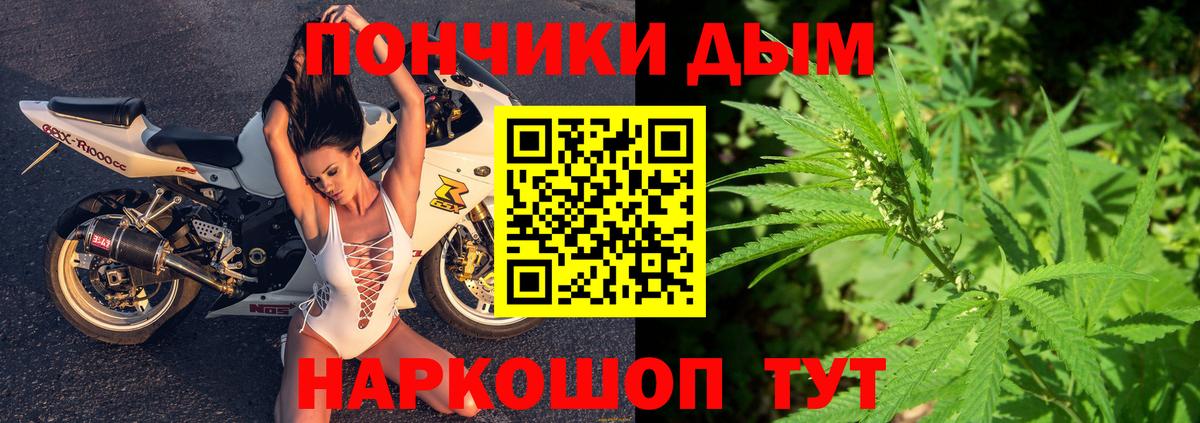 МАРИХУАНА семена  Каннабис Bruce Banner  Бийск  Вход с VPN  МАРИХУАНА семена 